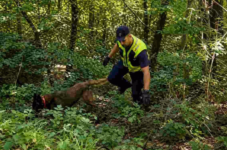Un gendarme découvert sans vie dans sa voiture en pleine forêt de l&rsquo;Oise : une enquête minutieuse est lancée